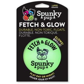 Spunky Pup Fetch and Glow Ball Dog Toy Assorted Colors