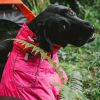 Dog Coats Small Waterproof,Warm Outfit Clothes Dog Jackets Small,Adjustable Drawstring Warm And Cozy Dog Sport Vest-pinksize M