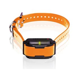 Dogtra Edge RT Trainer Extra Collar Orange