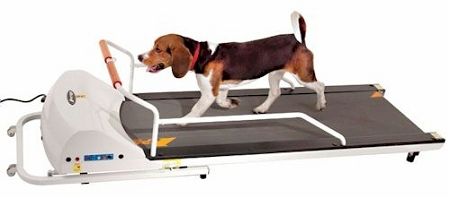 PetRun Dog Treadmill (Option: PR720F)